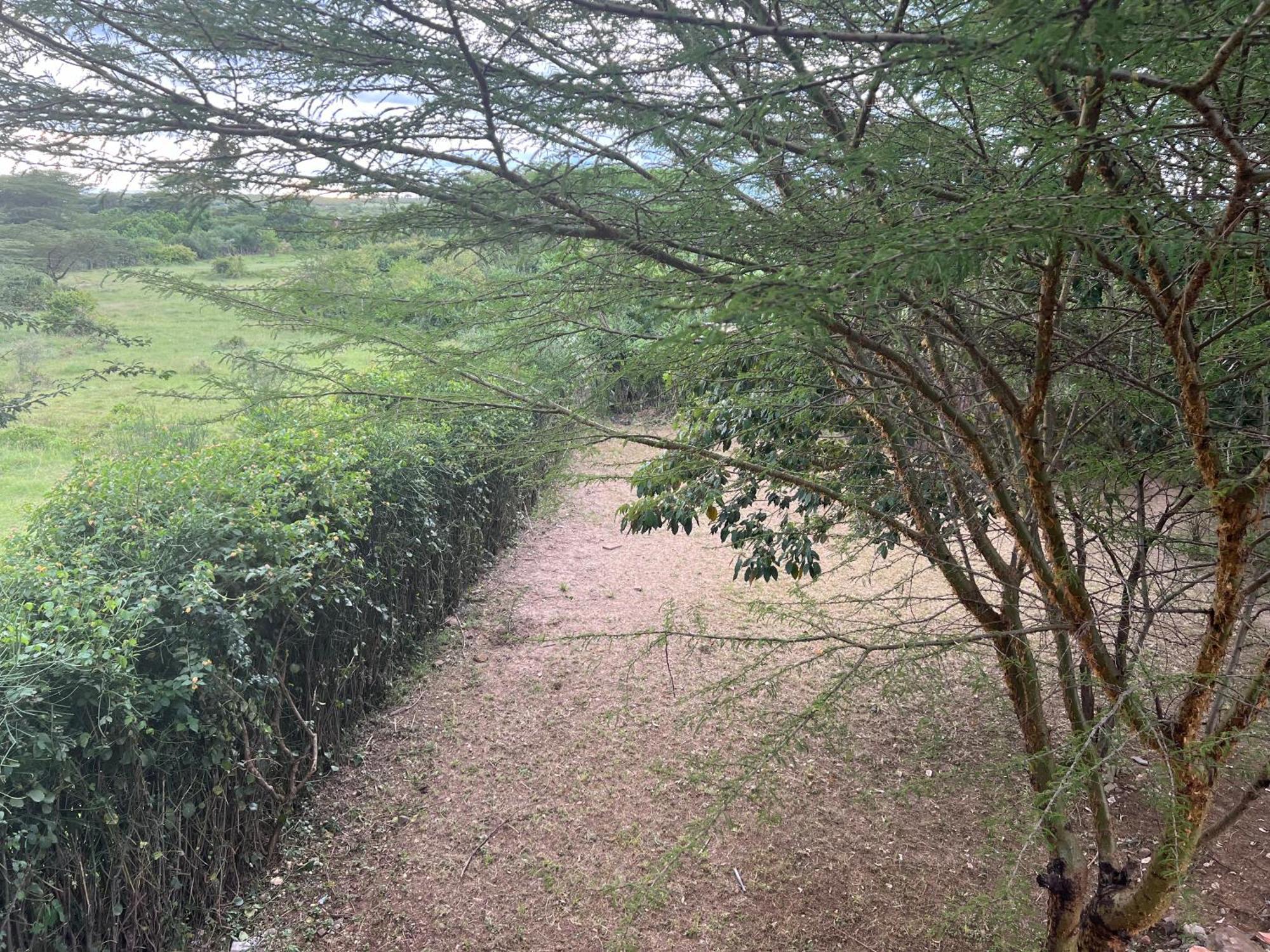 Olaloi Mara Camp Villa มาไซมารา ภายนอก รูปภาพ